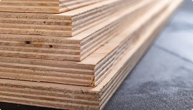 Baltic Birch plywood